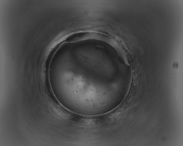 X0000093610295200710221612