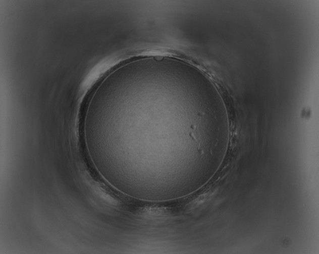 X0000093610296200710221612