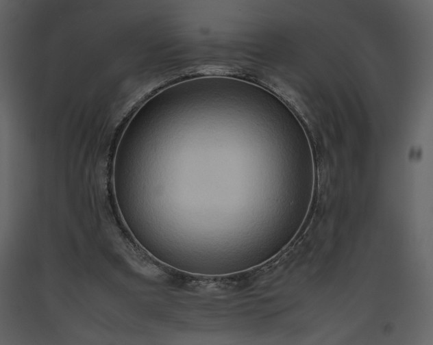 X0000093610297200710221612