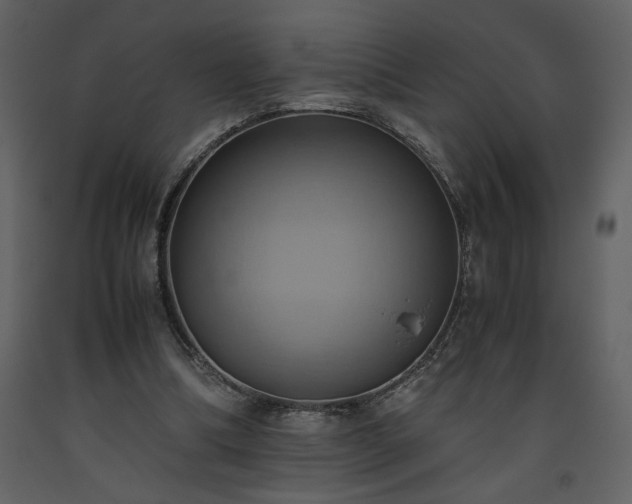 X0000093610298200710221612