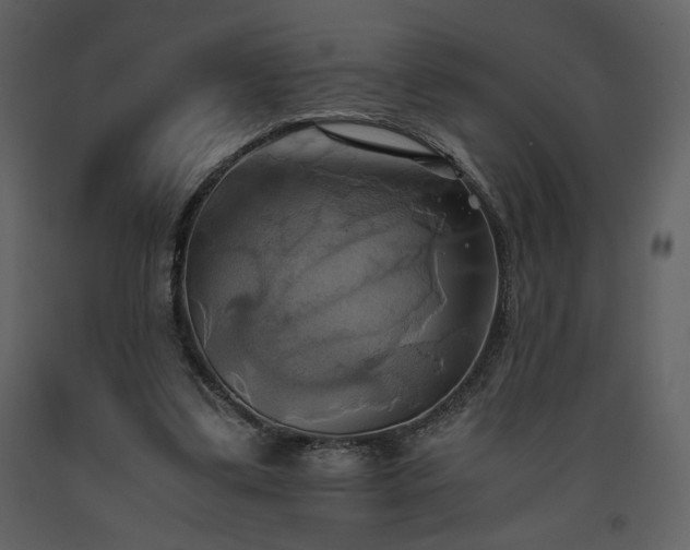 X0000093610299200710221612