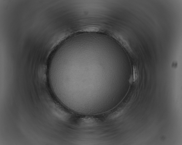 X0000093610300200710221612
