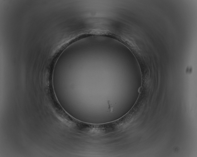 X0000093610303200710221612