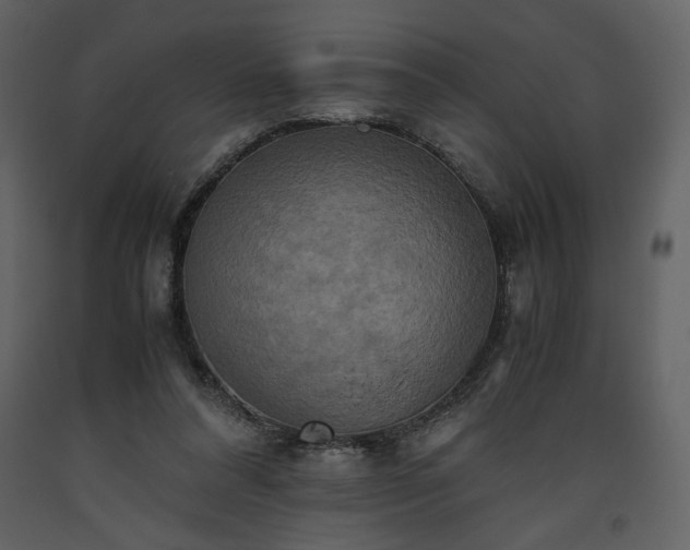 X0000093610304200710221612