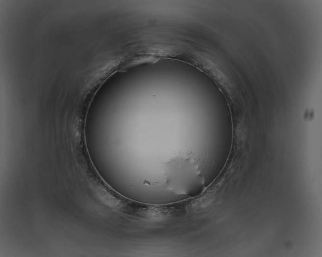 X0000093610305200710221612