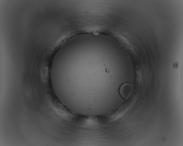 X0000093610308200710221612