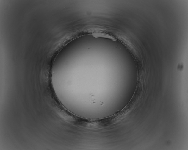 X0000093610309200710221612