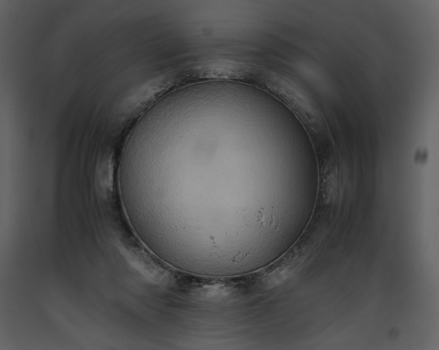 X0000093610310200710221612