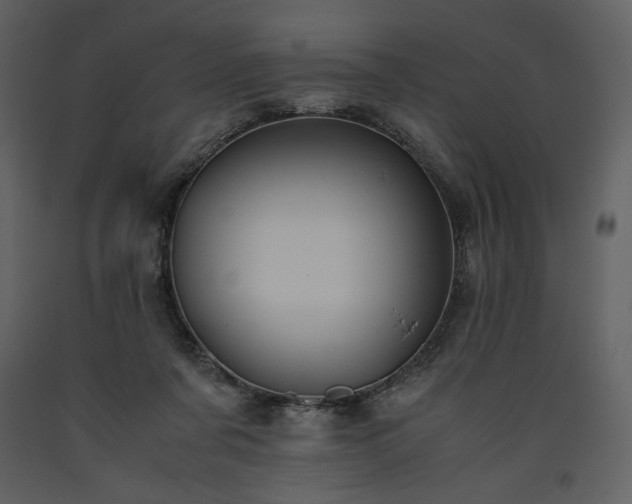 X0000093610311200710221612