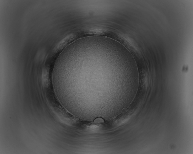 X0000093610312200710221612