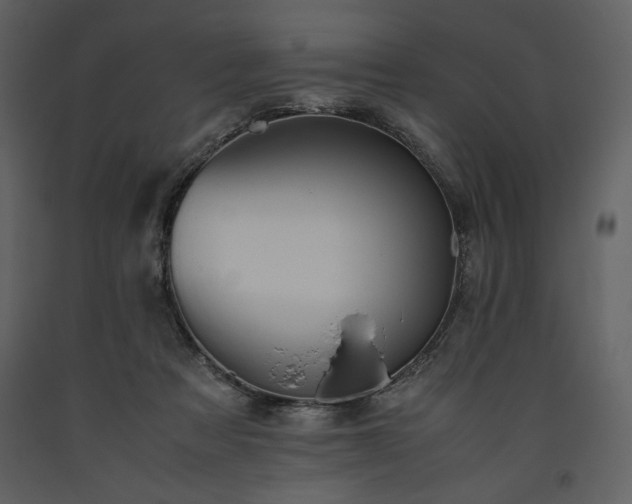 X0000093610313200710221612