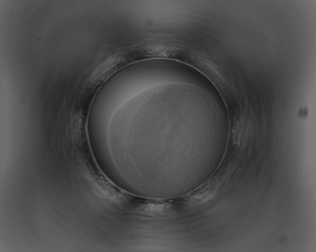 X0000093610314200710221612