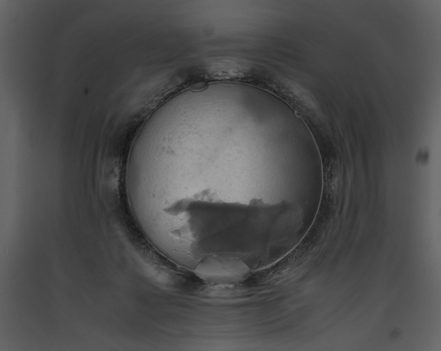 X0000093610315200710221612