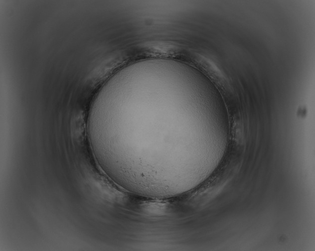 X0000093610318200710221612
