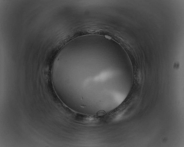 X0000093610319200710221612