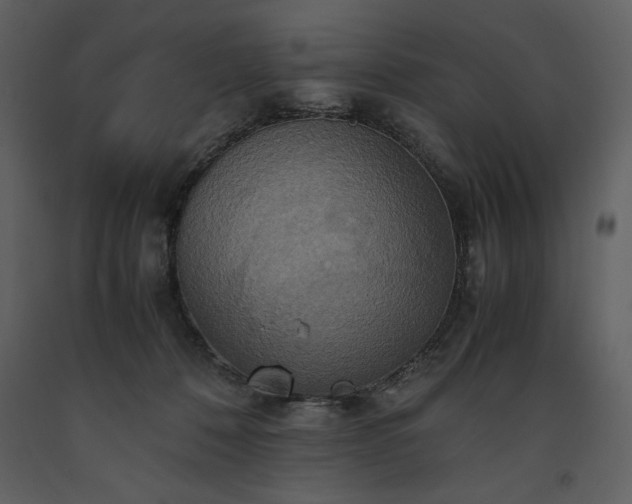 X0000093610320200710221612