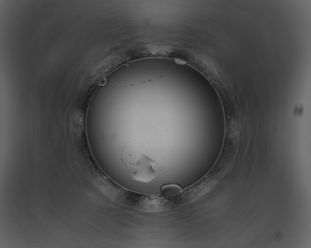 X0000093610321200710221612