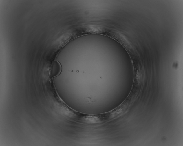 X0000093610322200710221612