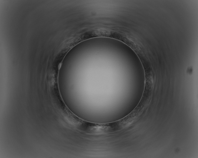 X0000093610323200710221612