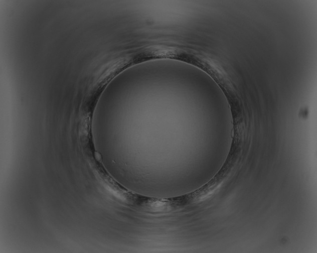 X0000093610325200710221612