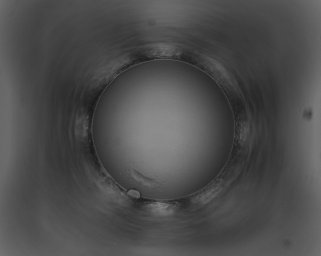 X0000093610326200710221612