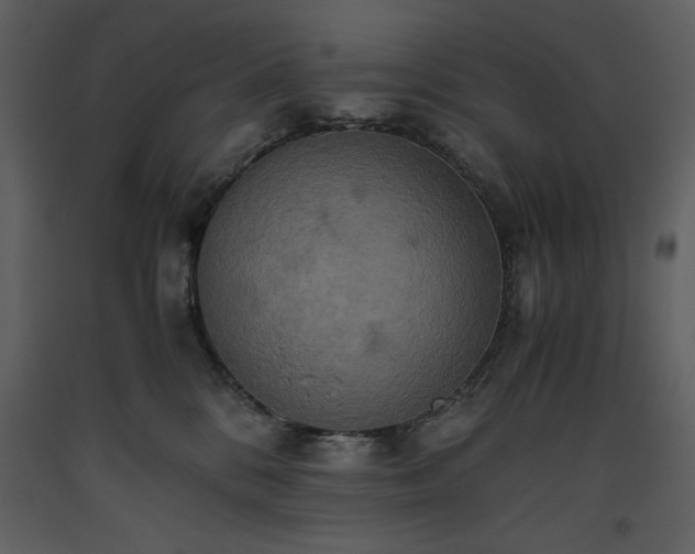 X0000093610328200710221612