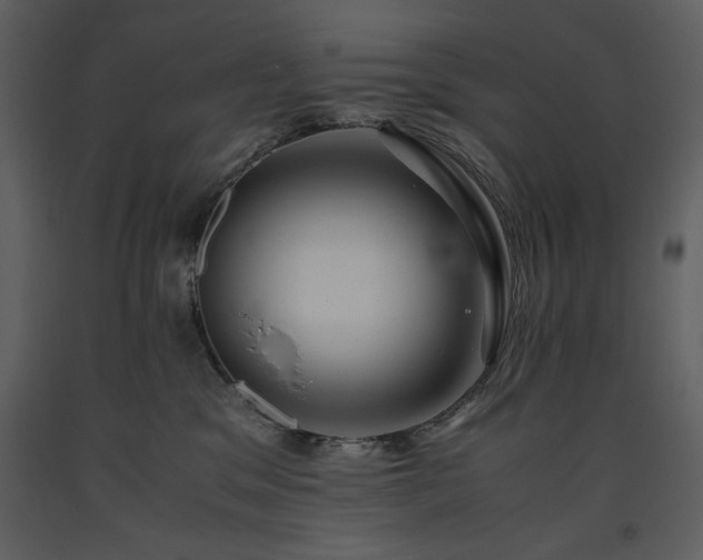 X0000093610329200710221612