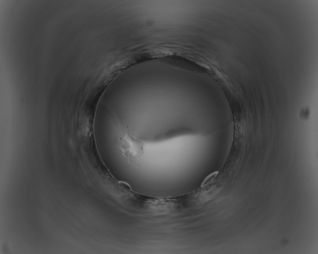 X0000093610331200710221612