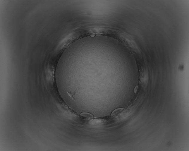 X0000093610332200710221612