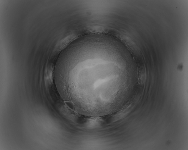 X0000093610334200710221612