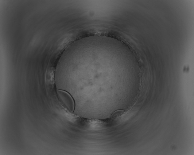X0000093610336200710221612
