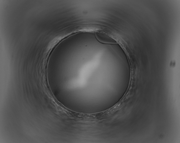 X0000093610337200710221611