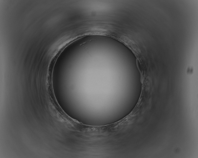 X0000093610338200710221611