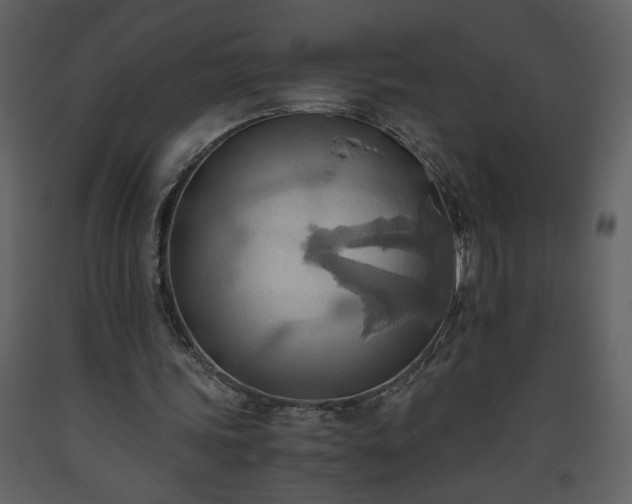 X0000093610339200710221611