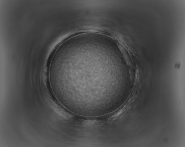 X0000093610342200710221611