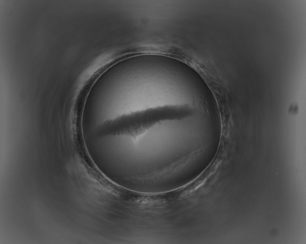 X0000093610343200710221611