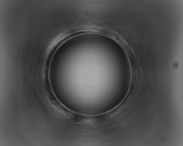 X0000093610344200710221611