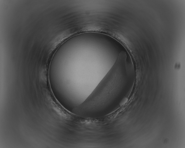 X0000093610345200710221611