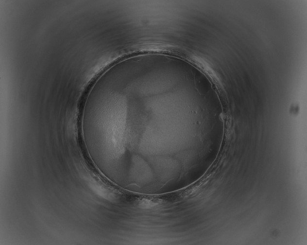 X0000093610346200710221611