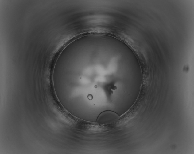 X0000093610347200710221611