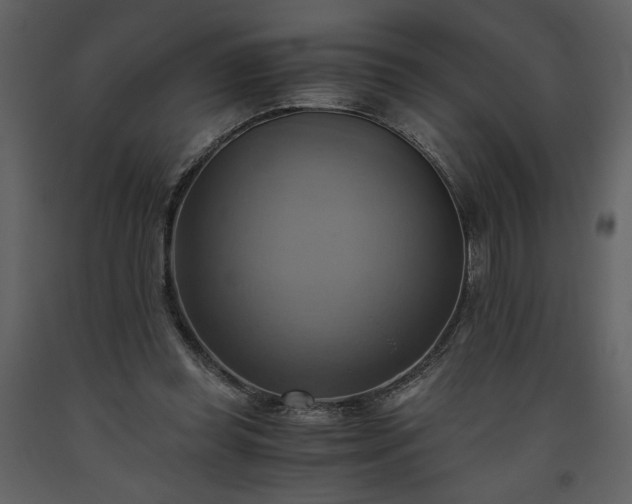 X0000093610349200710221612