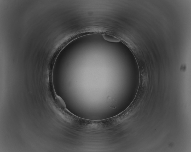 X0000093610350200710221612