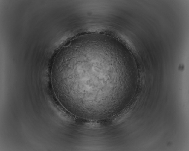 X0000093610354200710221612