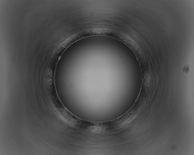 X0000093610356200710221612