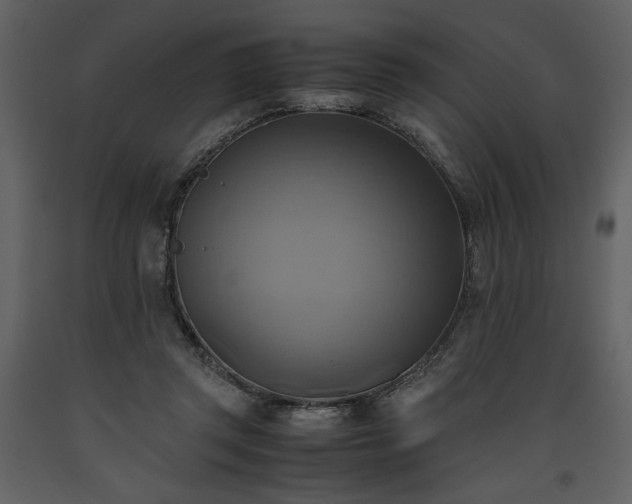 X0000093610357200710221612
