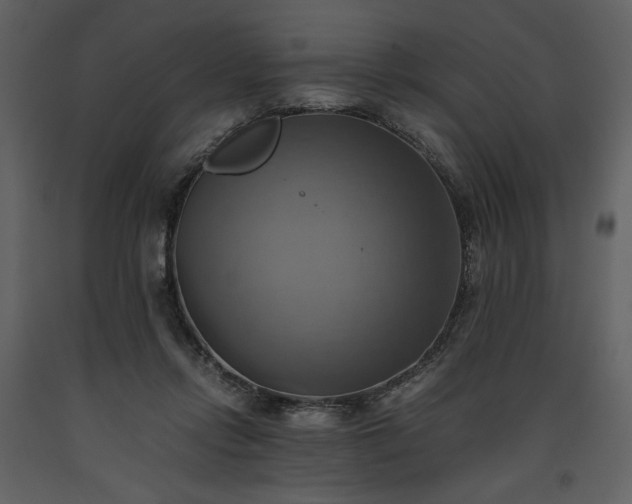 X0000093610358200710221612