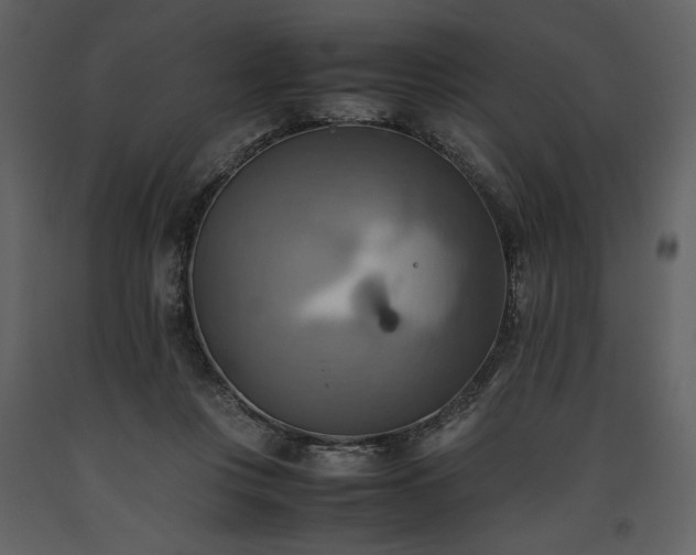 X0000093610359200710221612