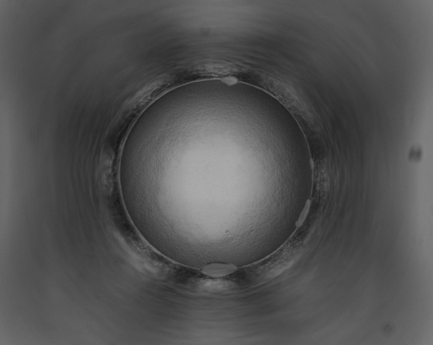 X0000093610360200710221612