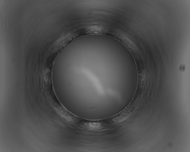 X0000093610361200710221612