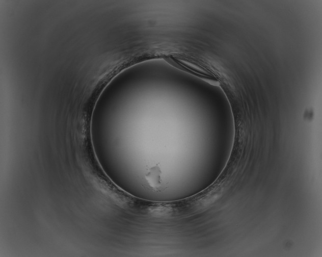X0000093610362200710221612